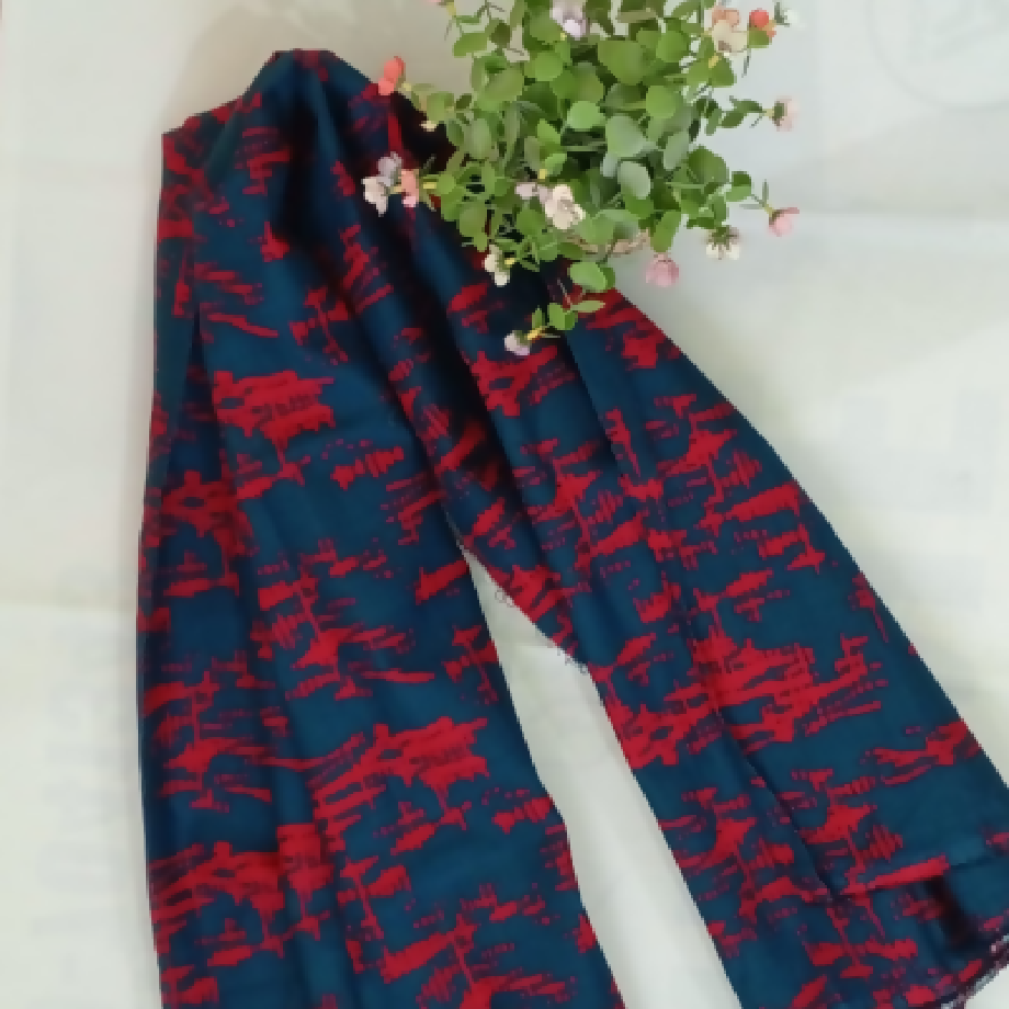 Winter Cozy Edition – 2-Piece Imported Khaddar Suit