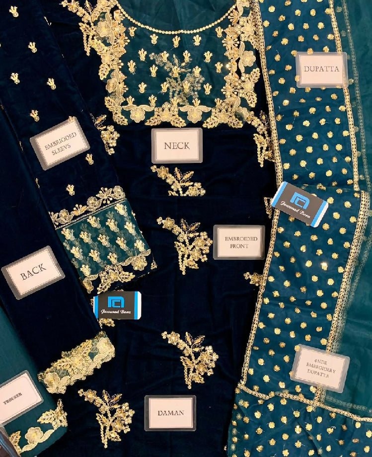 Luxury Embroidered velvet Dress For women