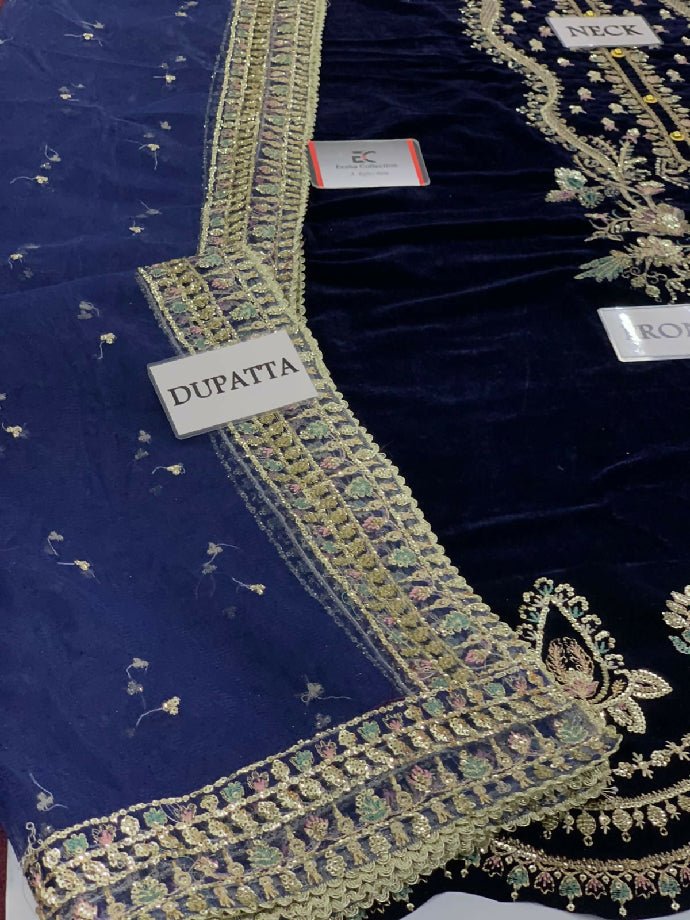 Elegant Embroidered velvet Dress For women