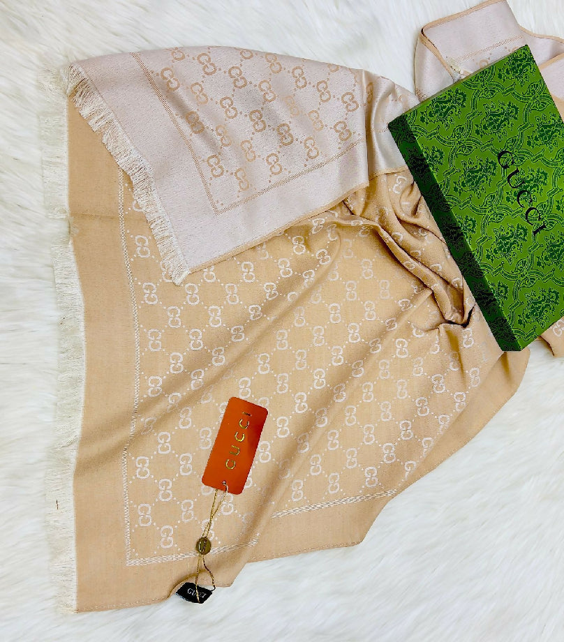 Louis Vuitton stoller /scarf