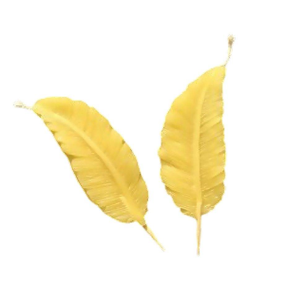 Feather candle cake topper