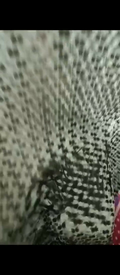 Korean velvet two piece allover design..