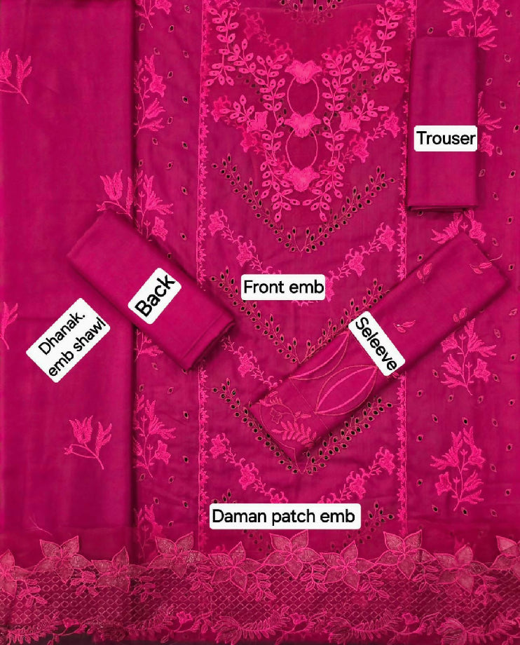 Dhanak Embroided suit