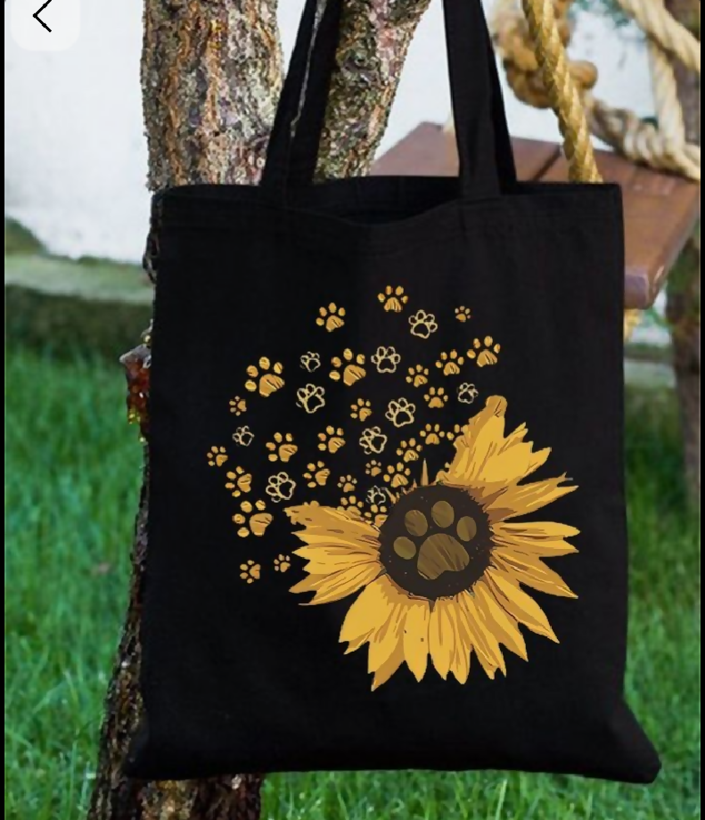 Gallery_1755487913261