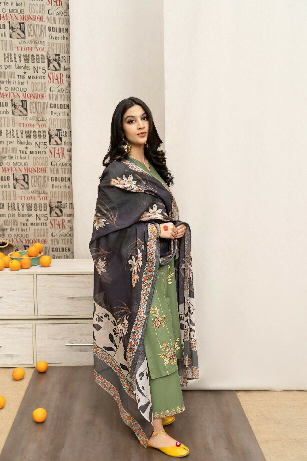 Women Embroided suit dhanak collection