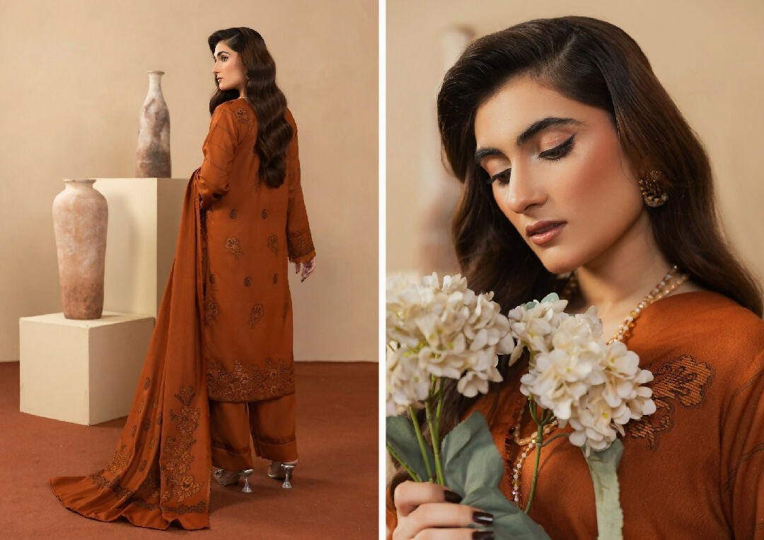 Winter ladies unstitche dresses