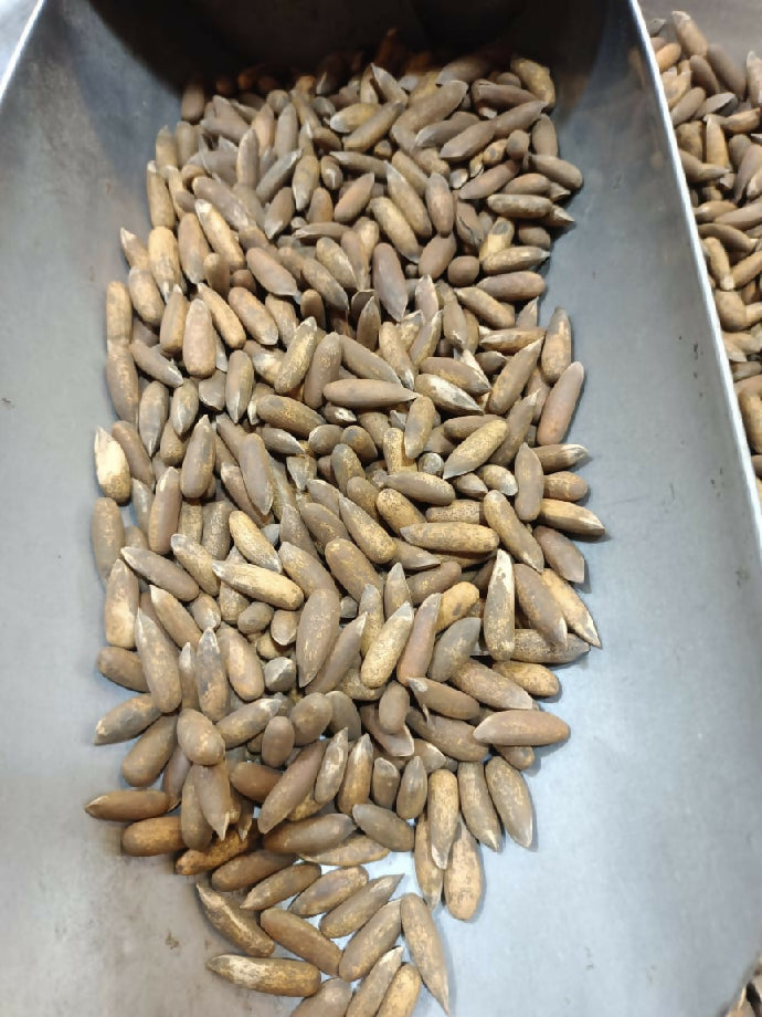 روسٹڈ چلغوزہ