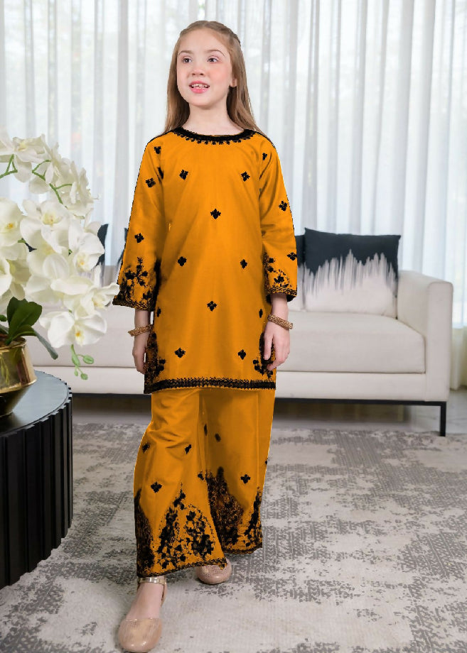 Kids 2pc fancy dress