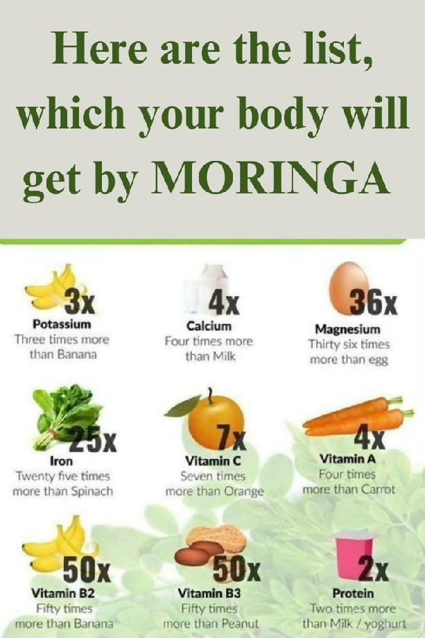 Moringa powder