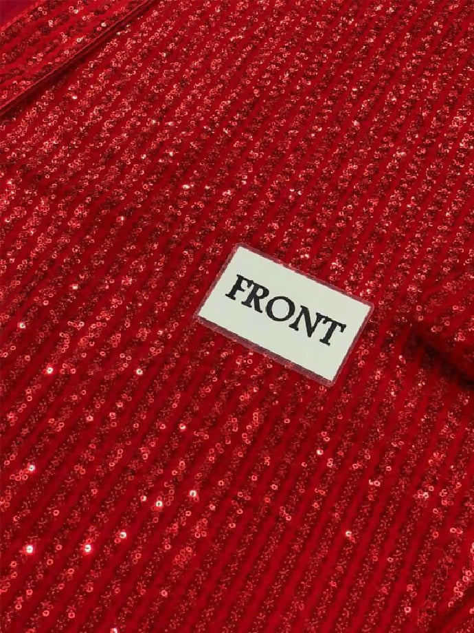 Embroided Chiffon Dress