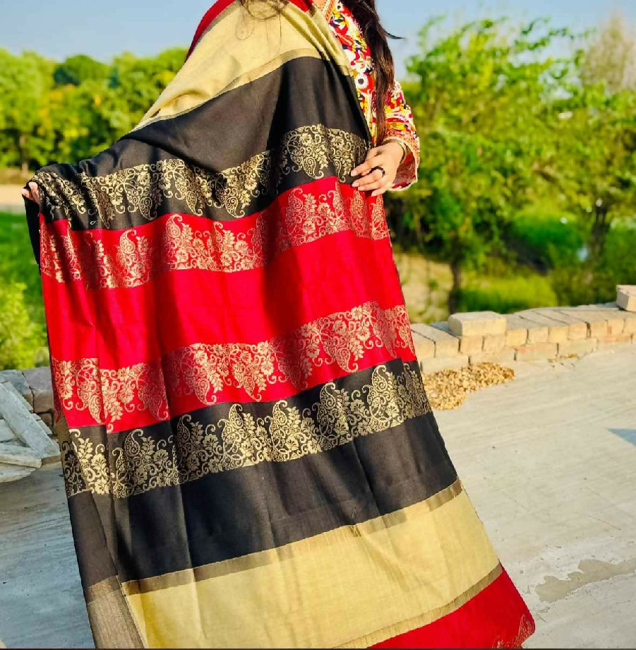 Pasham Kashmiri shawls collection