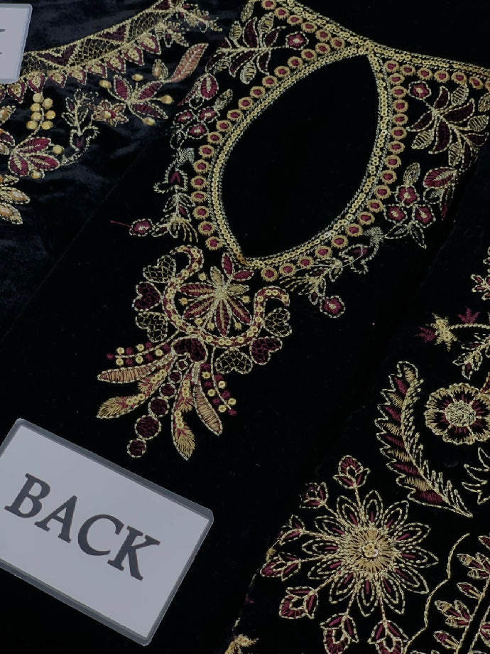 Luxury Embroidered velvet Dress for women