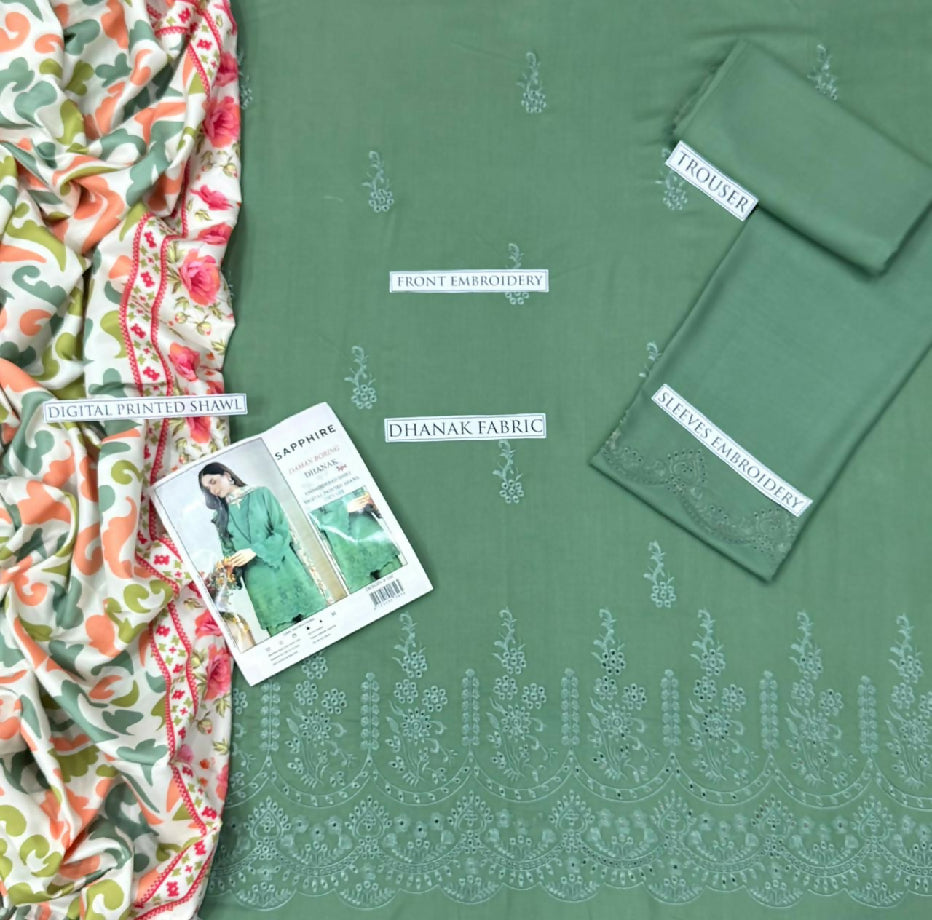 Dhanak Embroided suit with wool shawl