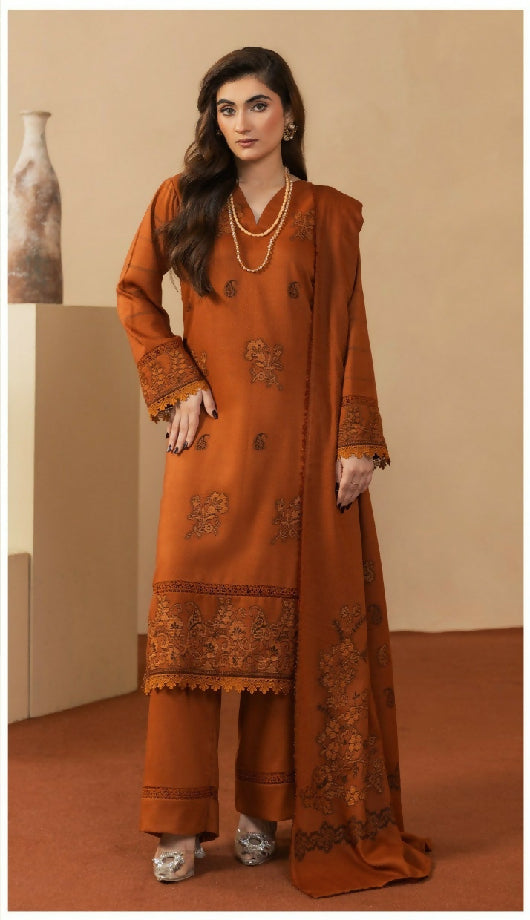 Winter ladies unstitche dresses