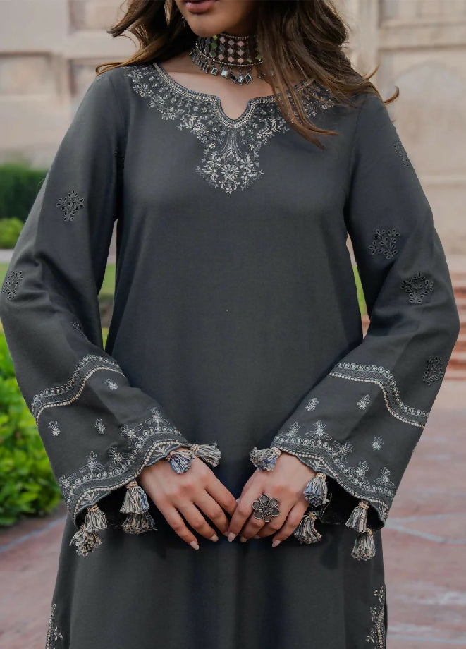 Izel 3piece embroidered dhanak