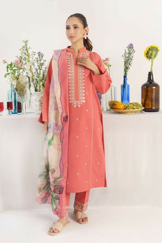 Women Embroided suit dhanak collection