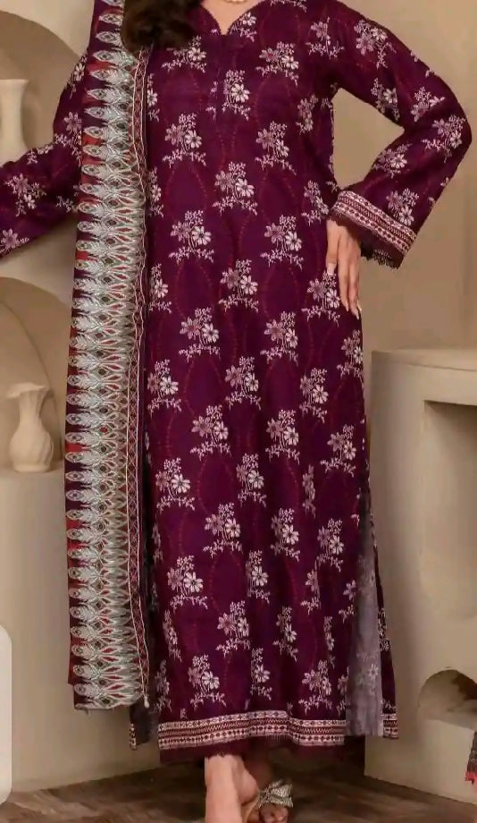 Girl dress winter stuff