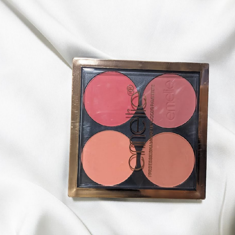 PROFESSIONAL MAKEUP 4-COLOR PALETTE