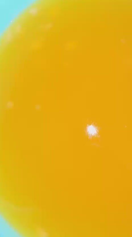 1000749640