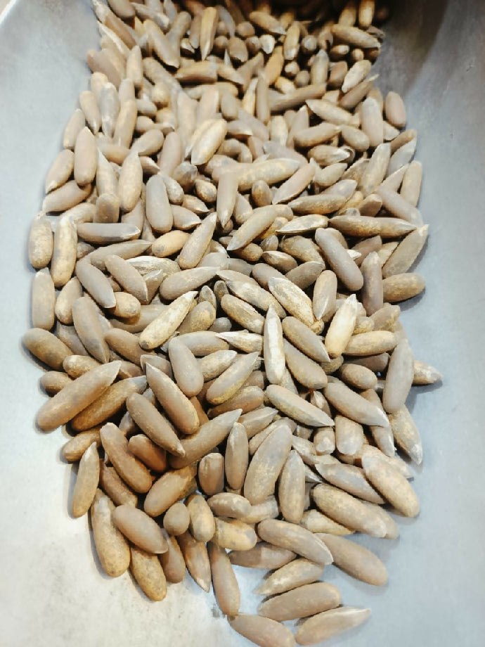 روسٹڈ چلغوزہ