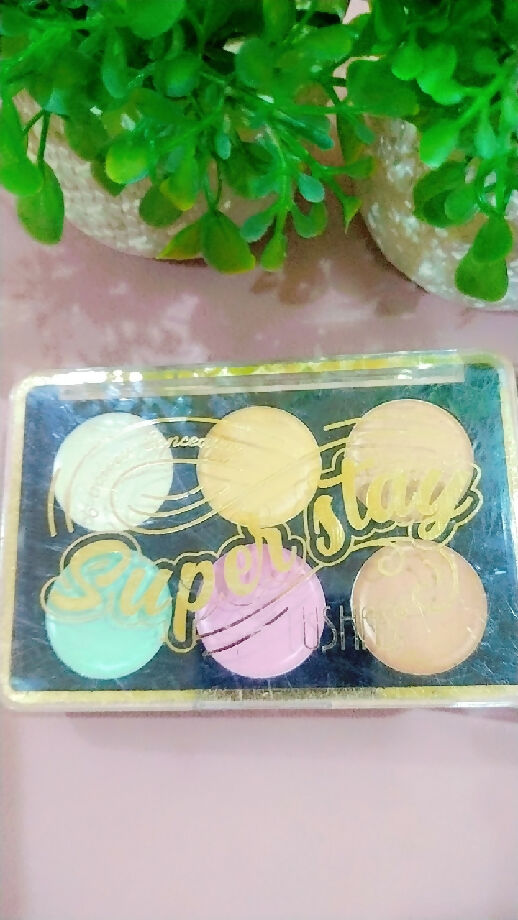 Ushas concealer pallet