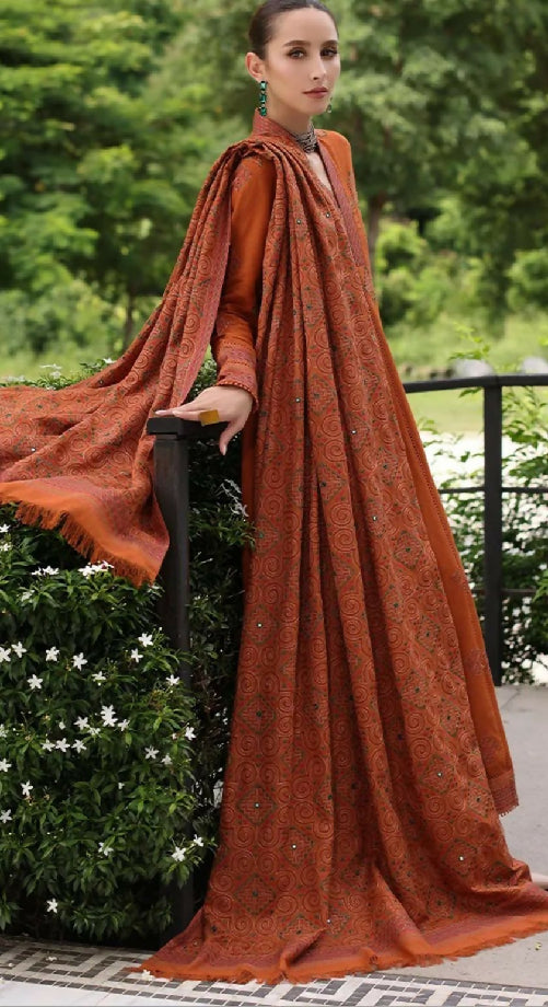 Elegant Embroidered Dhanak Winter collection For women
