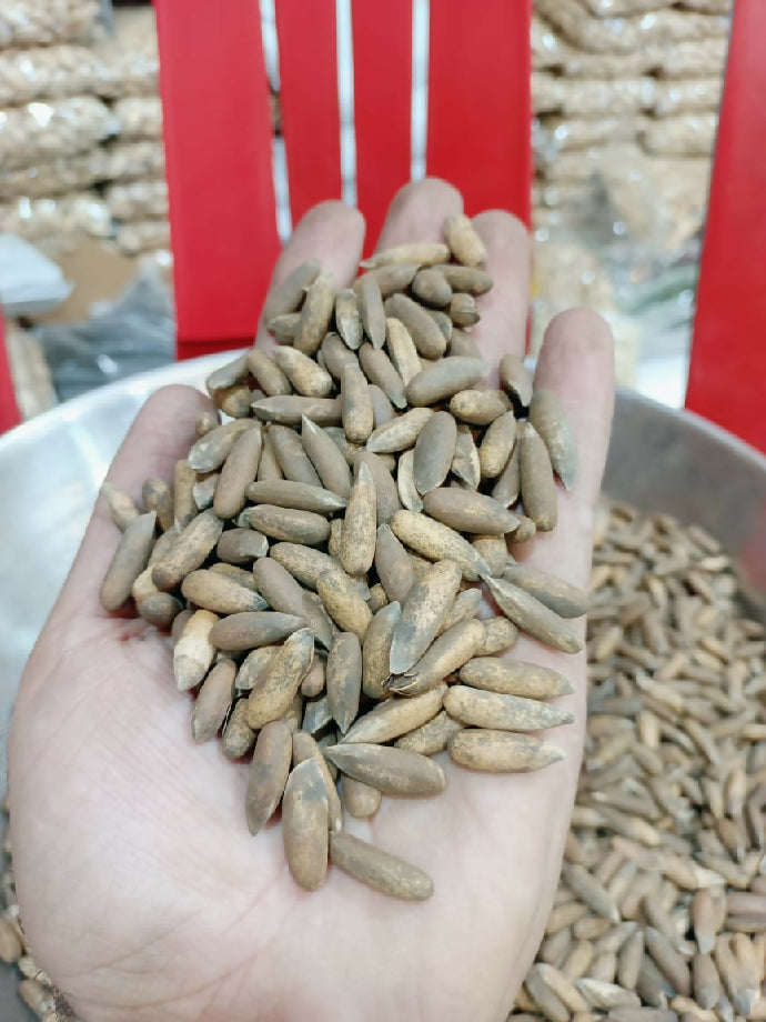 روسٹڈ چلغوزہ