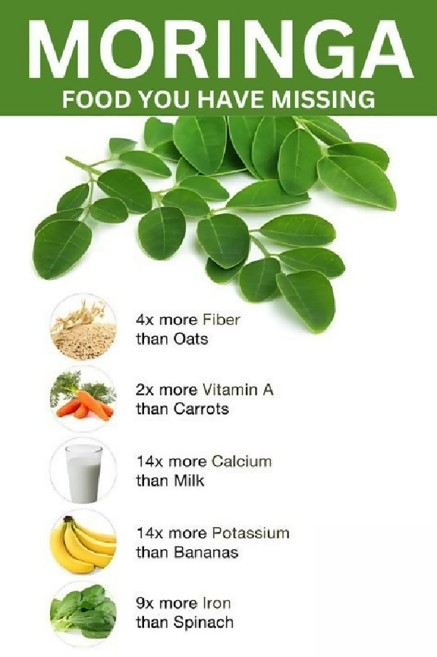 Moringa capsules